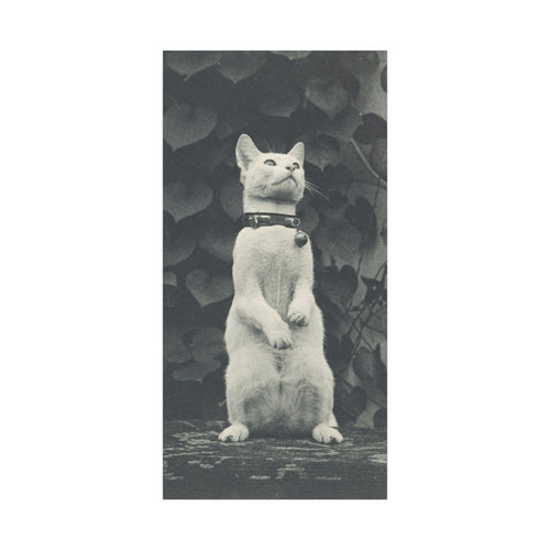 Vintage Standing Cat Matte Canvas Print — Stretched Wall Art