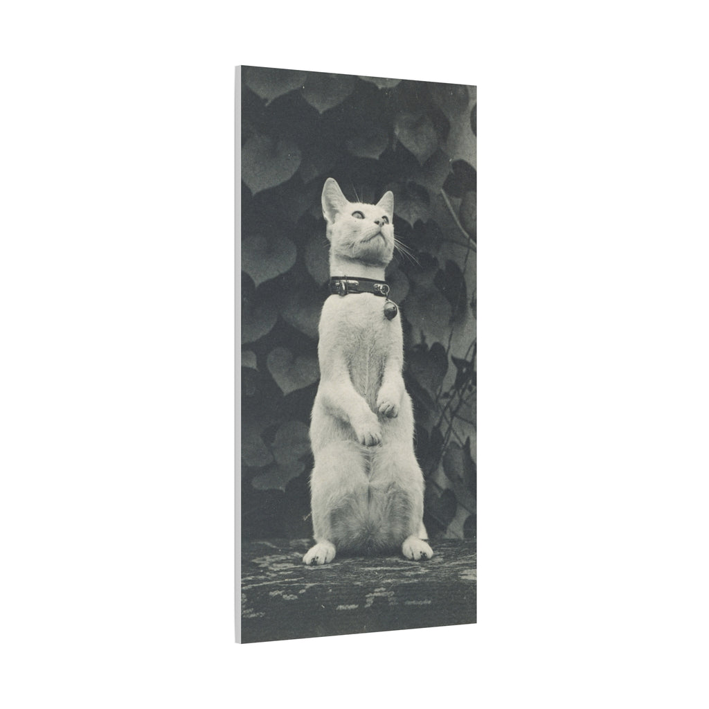 Vintage Standing Cat Matte Canvas Print — Stretched Wall Art