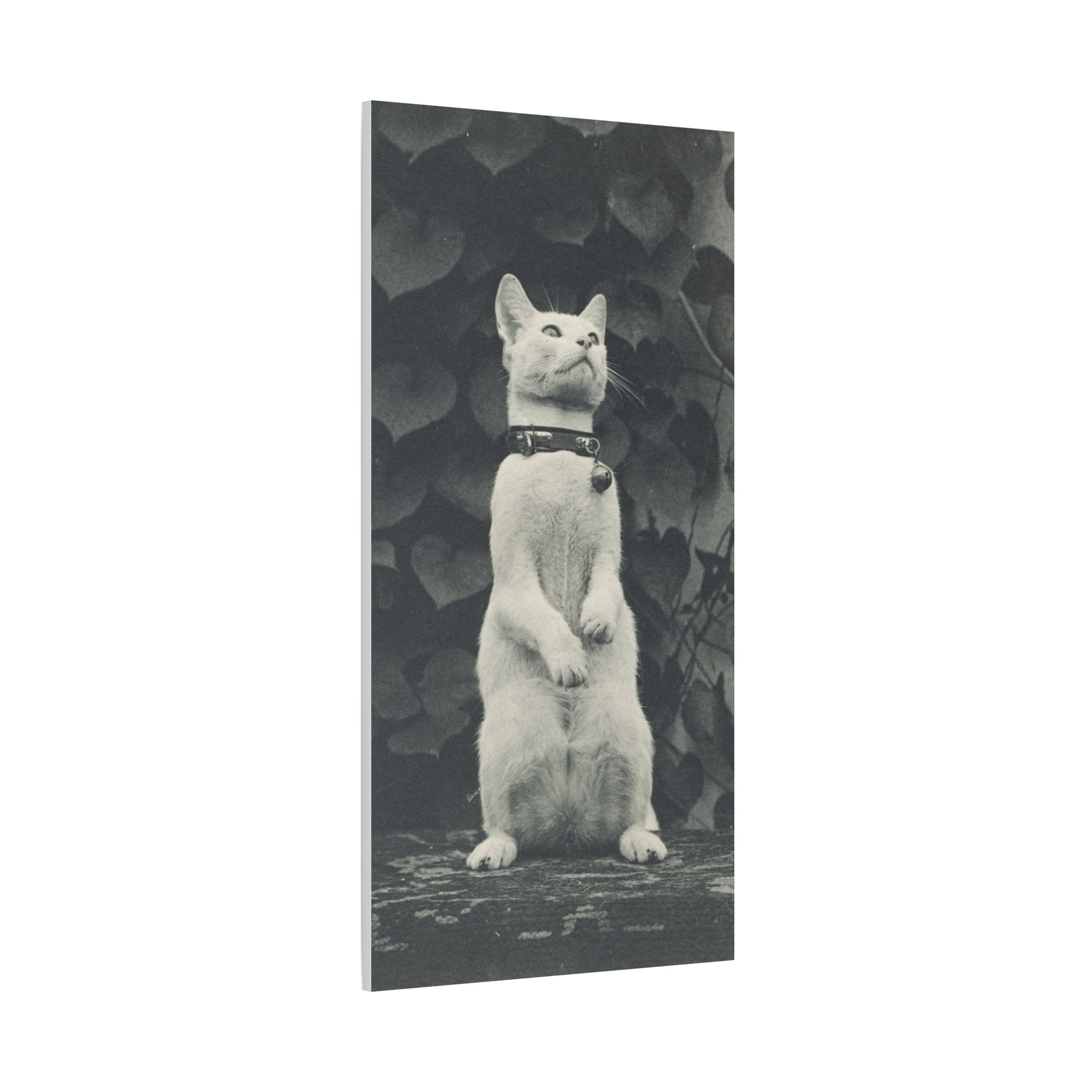 Vintage Standing Cat Matte Canvas Print — Stretched Wall Art