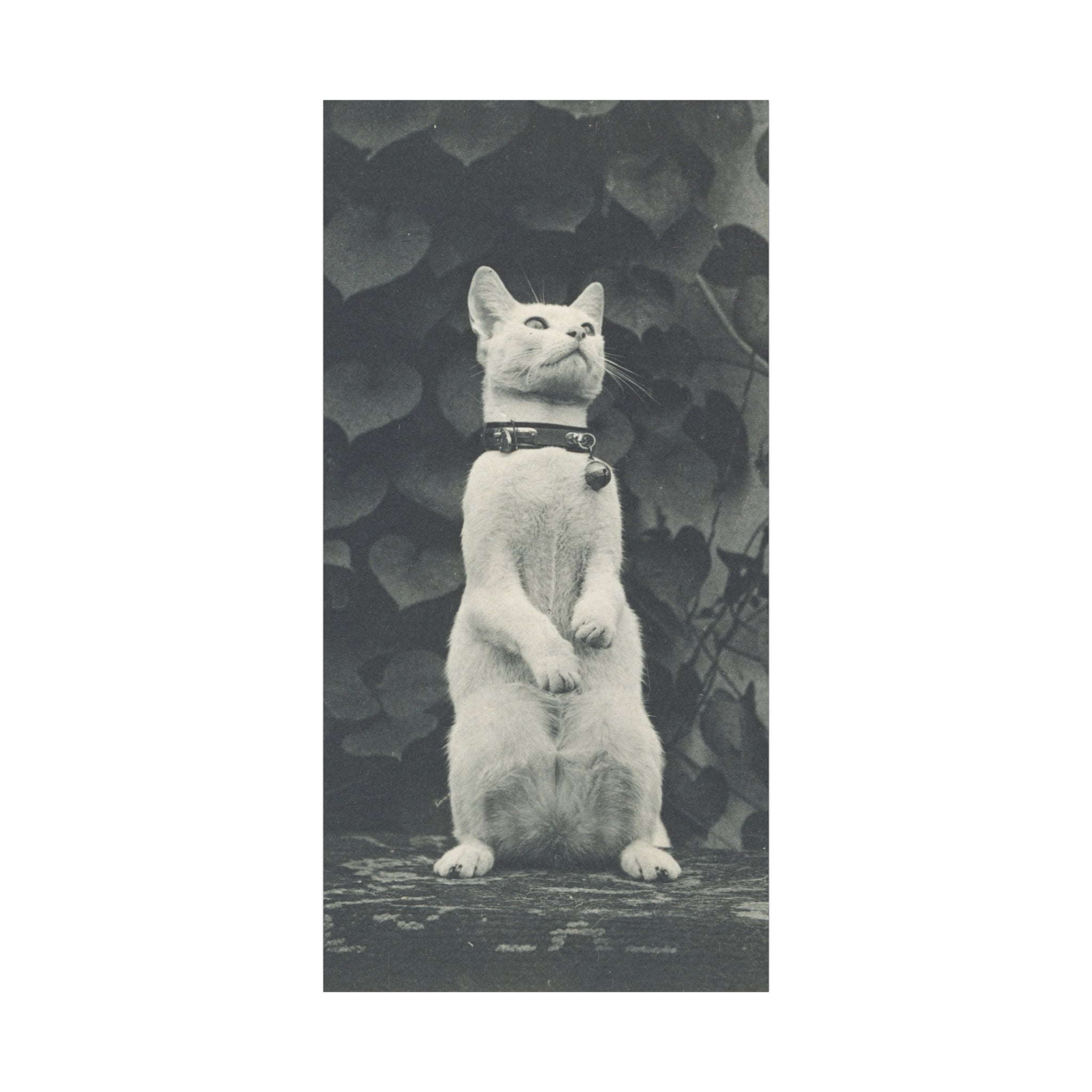 Vintage Standing Cat Matte Canvas Print — Stretched Wall Art