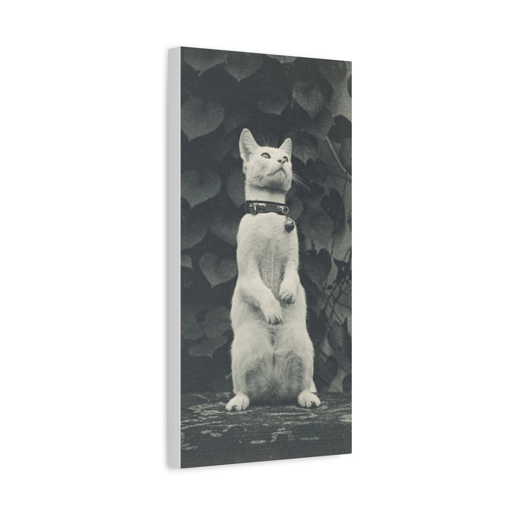 Vintage Standing Cat Matte Canvas Print — Stretched Wall Art