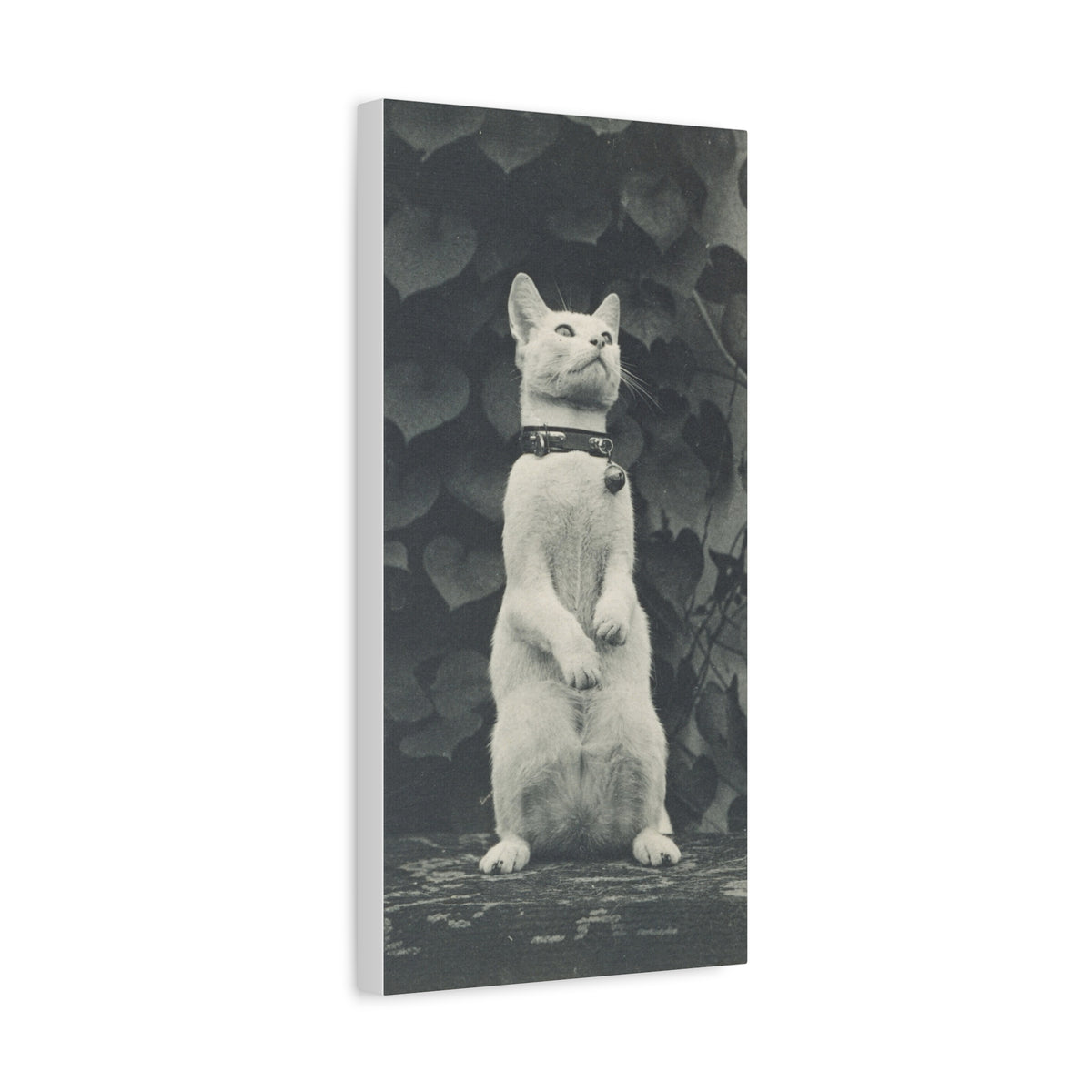 Vintage Standing Cat Matte Canvas Print — Stretched Wall Art