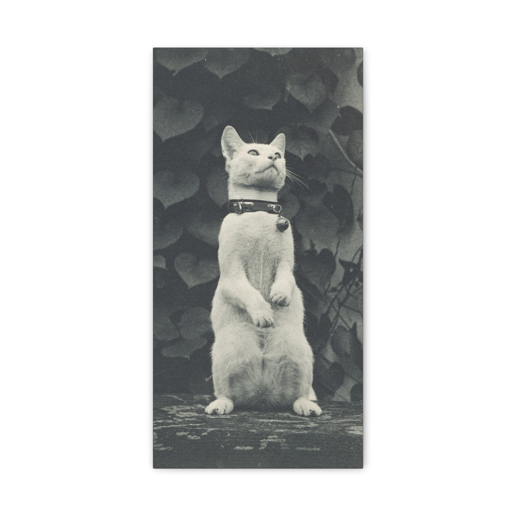 Vintage Standing Cat Matte Canvas Print — Stretched Wall Art